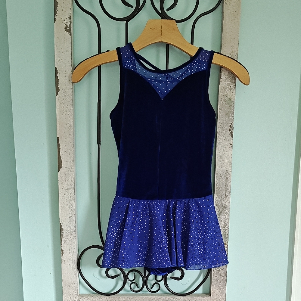 Blue Velvet and Mesh Leotard Youth M